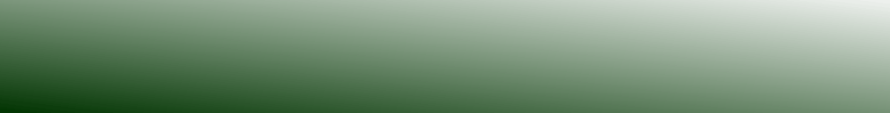 ausstellungpius001006.gif